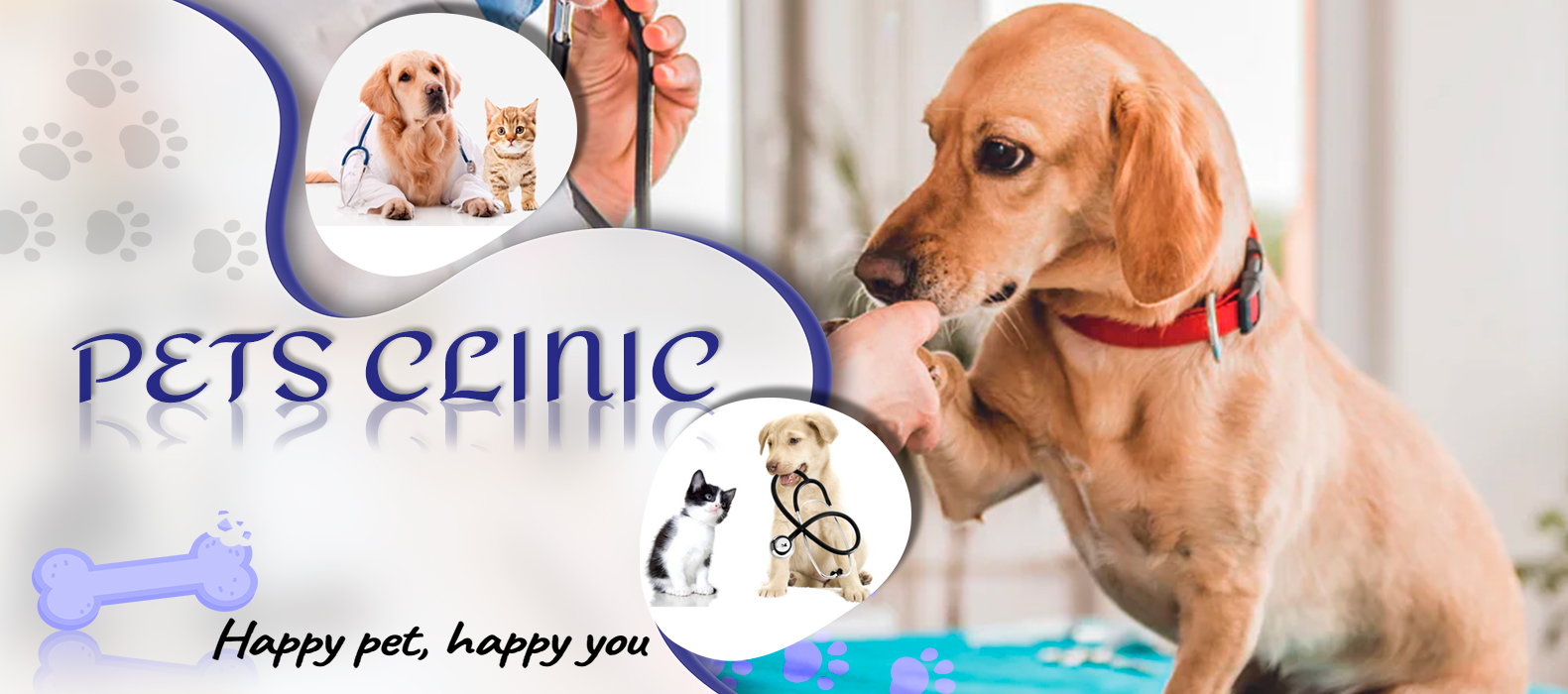 Dog clinic hot sale in rohini