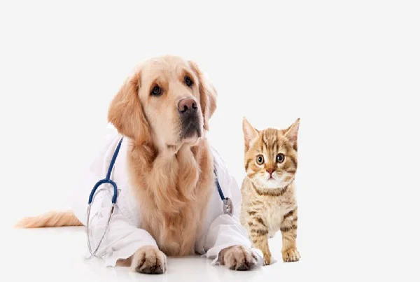 Pets Clinic